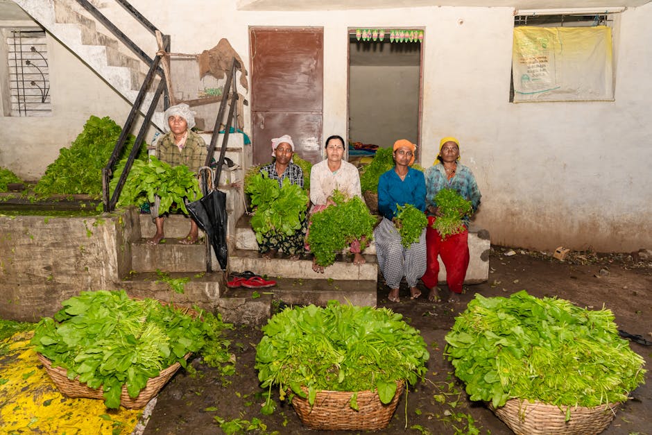 Community members in action