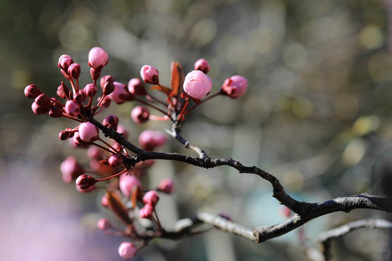 Community event gathering