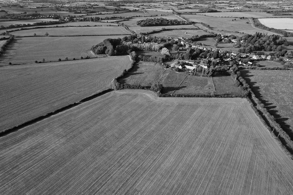 Decorative village scene